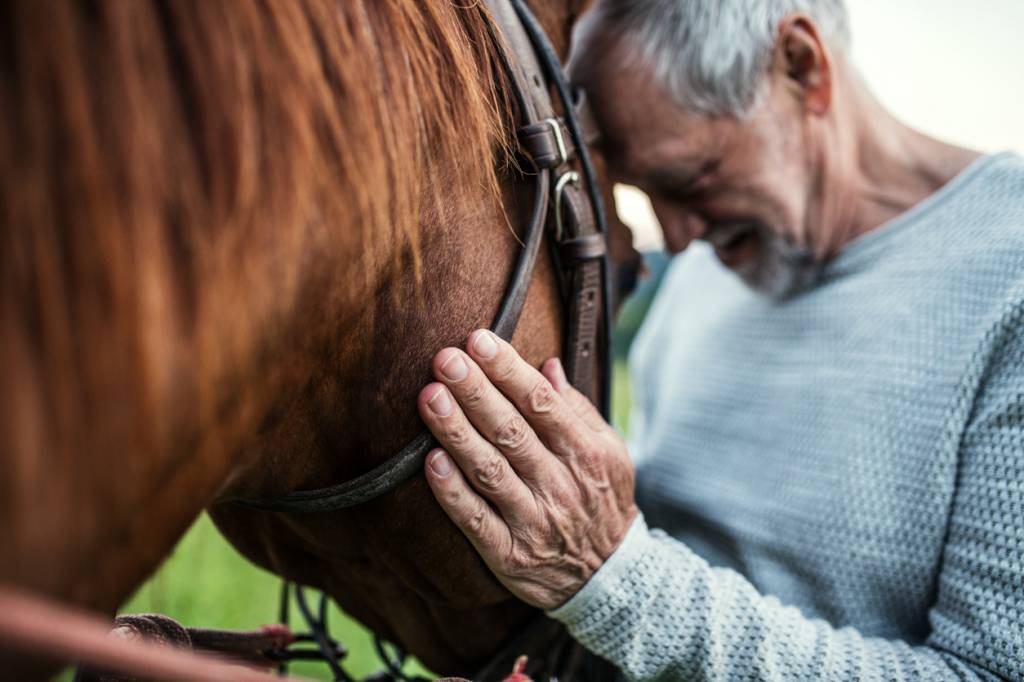 équicoaching cheval