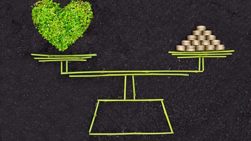 L’importance du respect du Code de l’environnement pour les entreprises